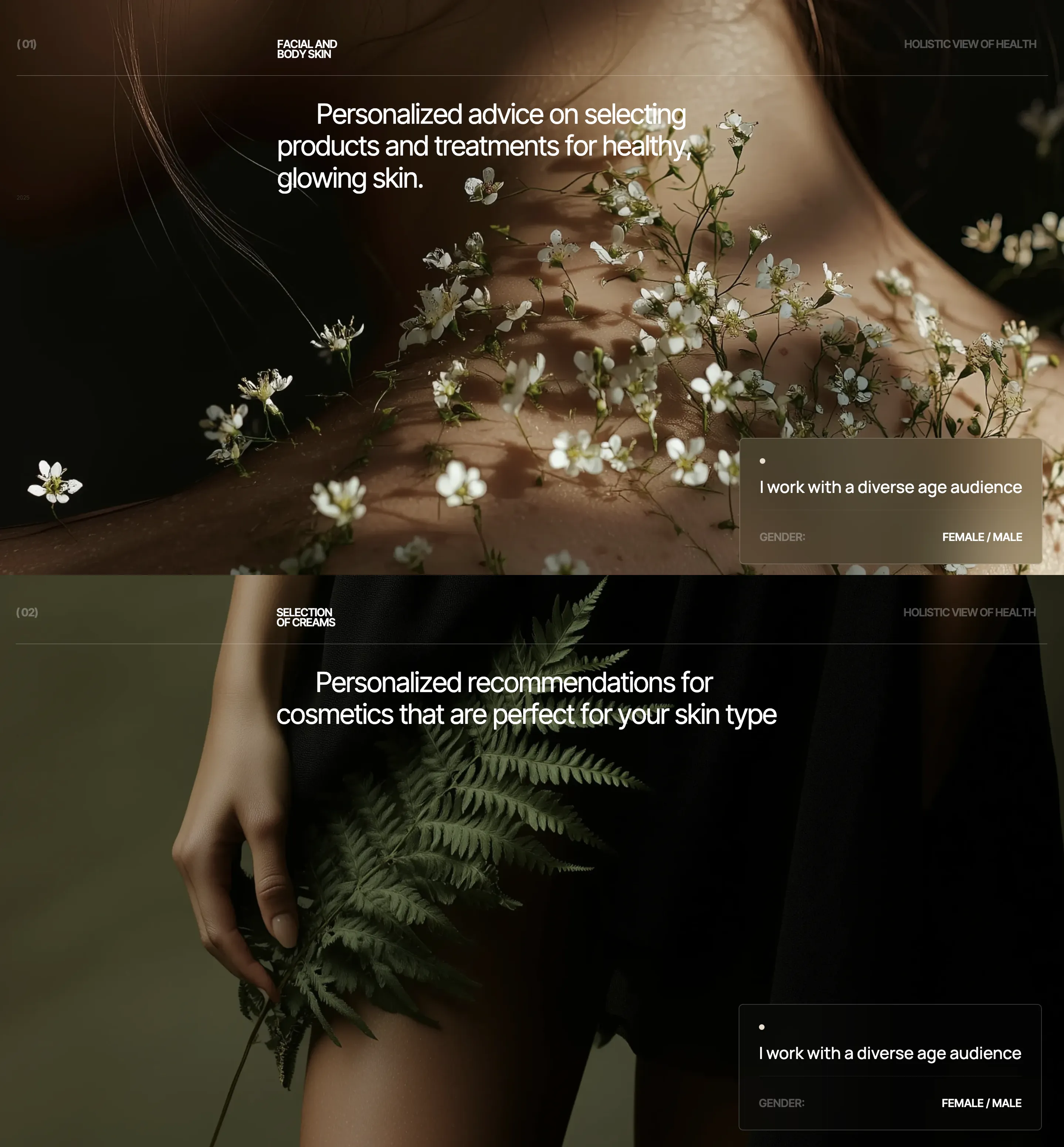 Dr. Shanina studio website: screen 4 of 4