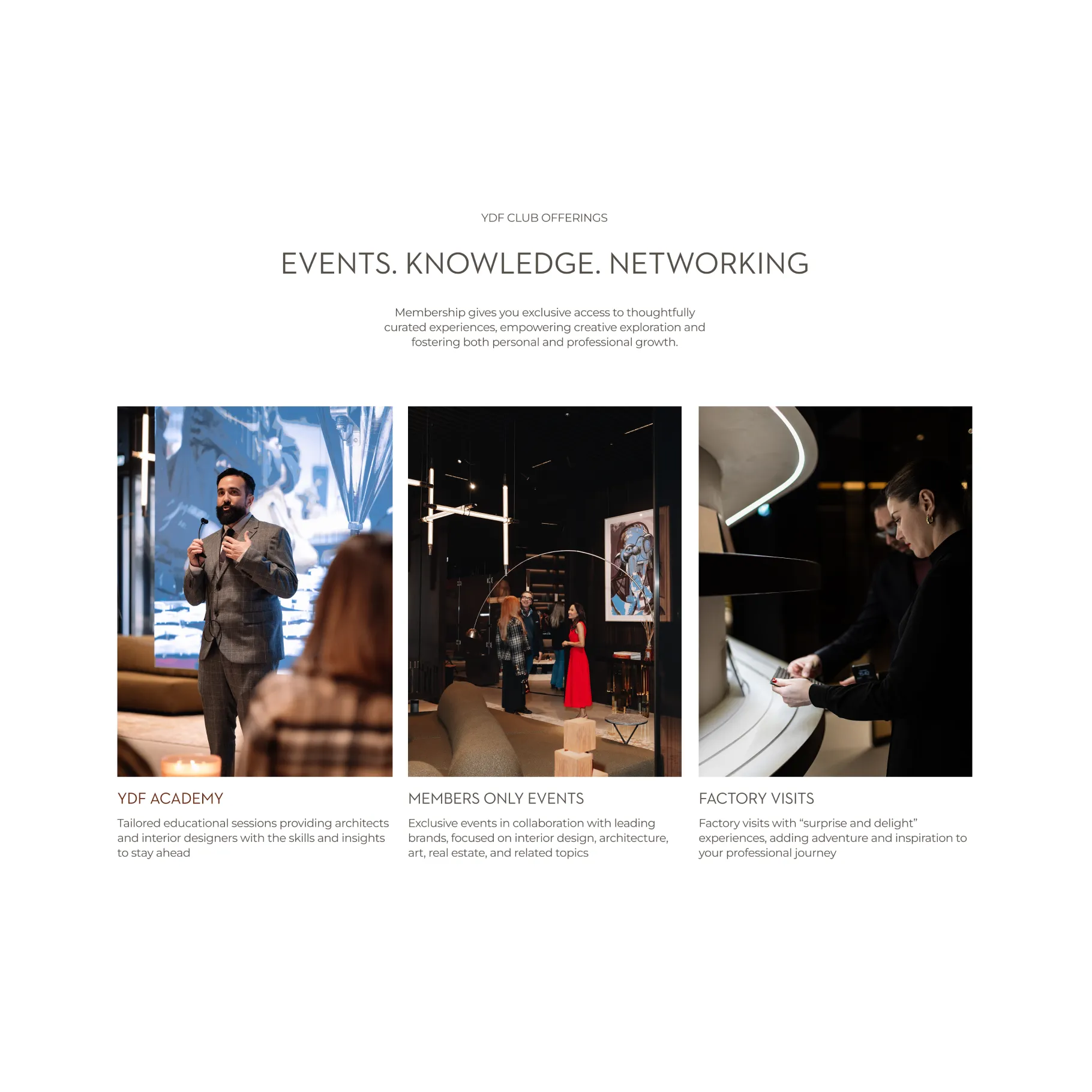 YDF studio website: screen 3 of 4